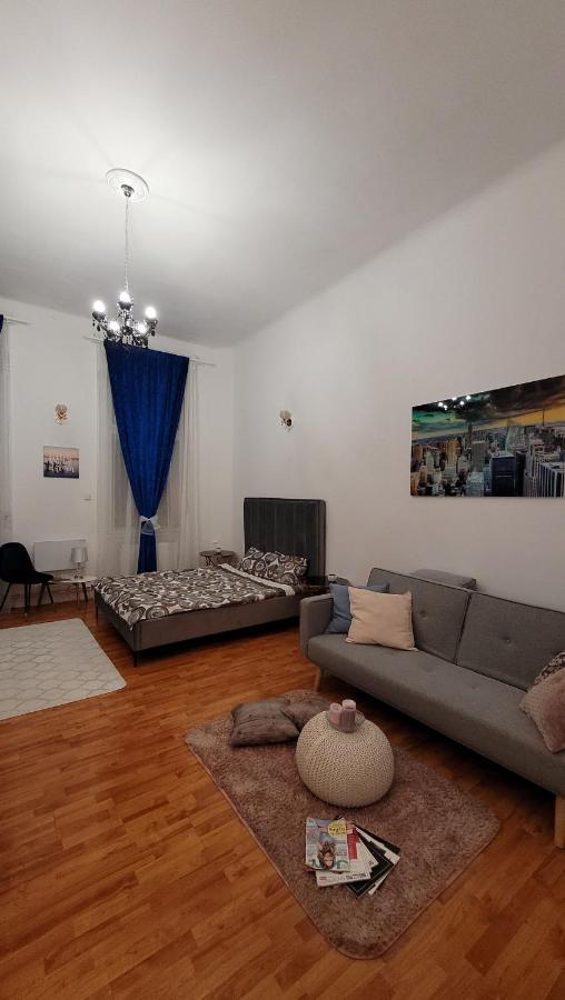 Opera Victoriei Residence - Ultracentral Cozy Accommodation Timisoara Habitación foto